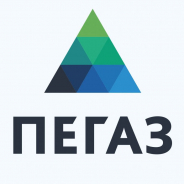 R&D INSTITUTE PEGAZ HAS SUBMITED THE VIDEO DEVOTED TO THE ACTIVITIES OF THE COMPANY