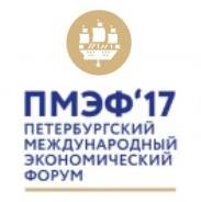 Участие в петербургском международном экономическом форуме 2017